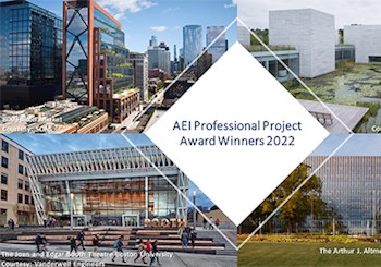 2022 Winners – AEI Professional Project Award 