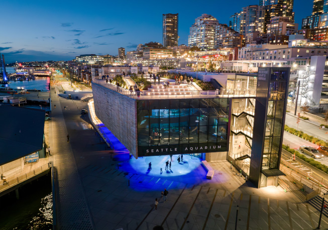 Evening aerial view of the Seattle Aquarium Ocean Pavilion along the waterfront, illuminated against the surrounding cityscape.