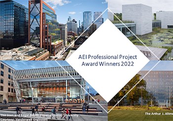 2022 Winners – AEI Professional Project Award