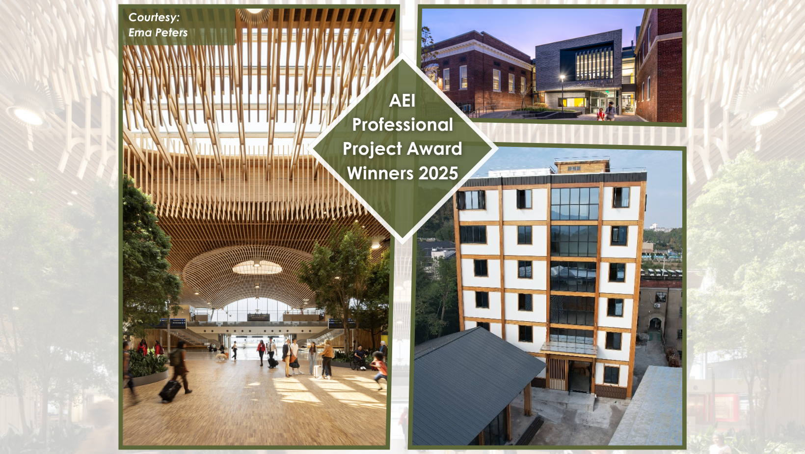 AEI PPA Winners 2025