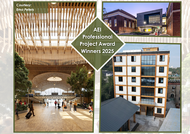 AEI PPA Winners 2025