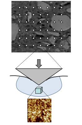 Nanomechanical testing and multiscale poromechanics