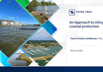 An Approach to Siting NbS for Coastal Protection