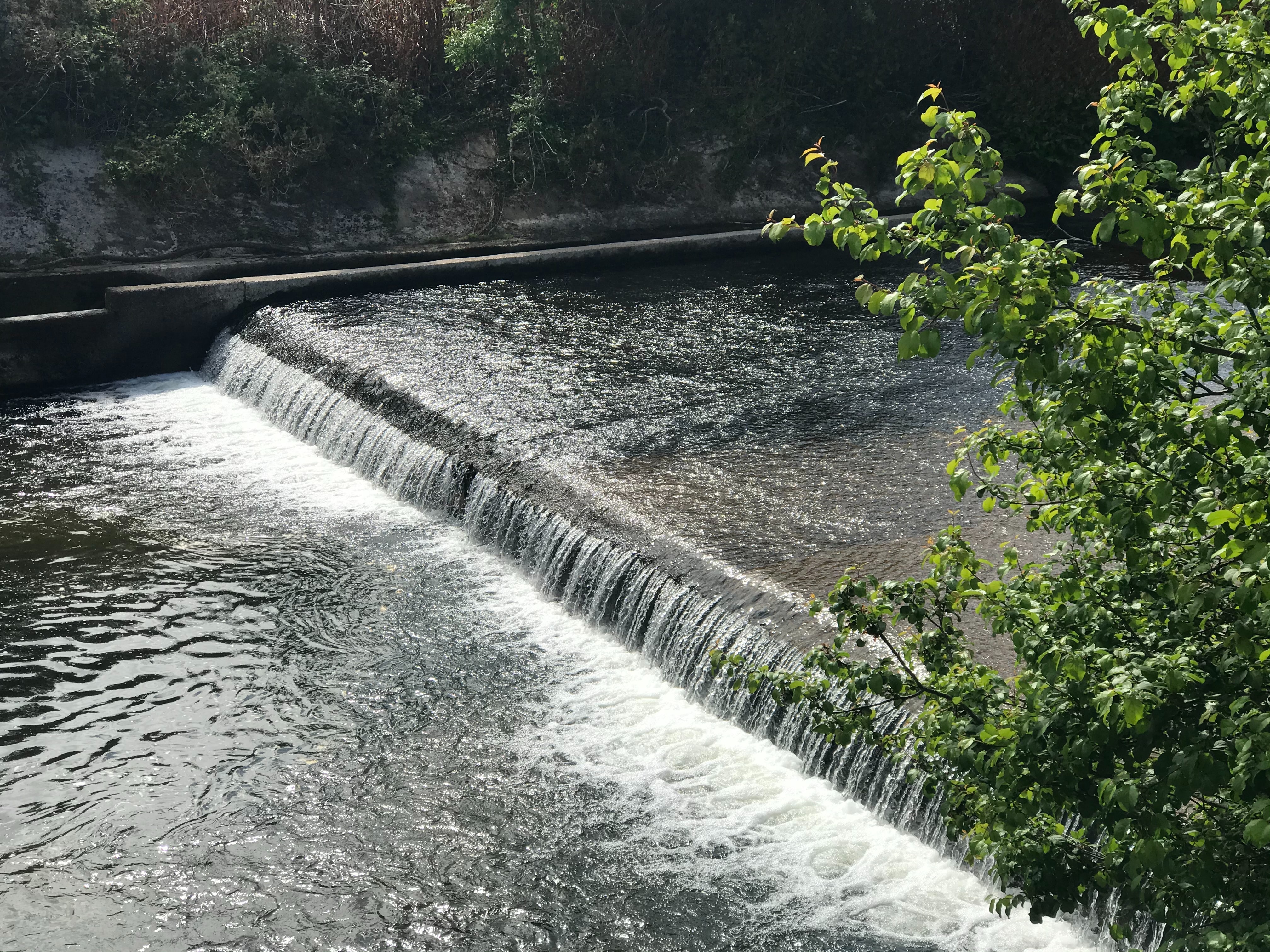 Low head dam