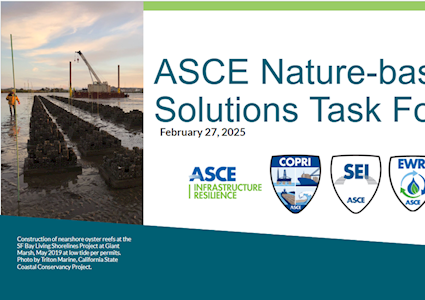 Nature-based Solutions Taskforce