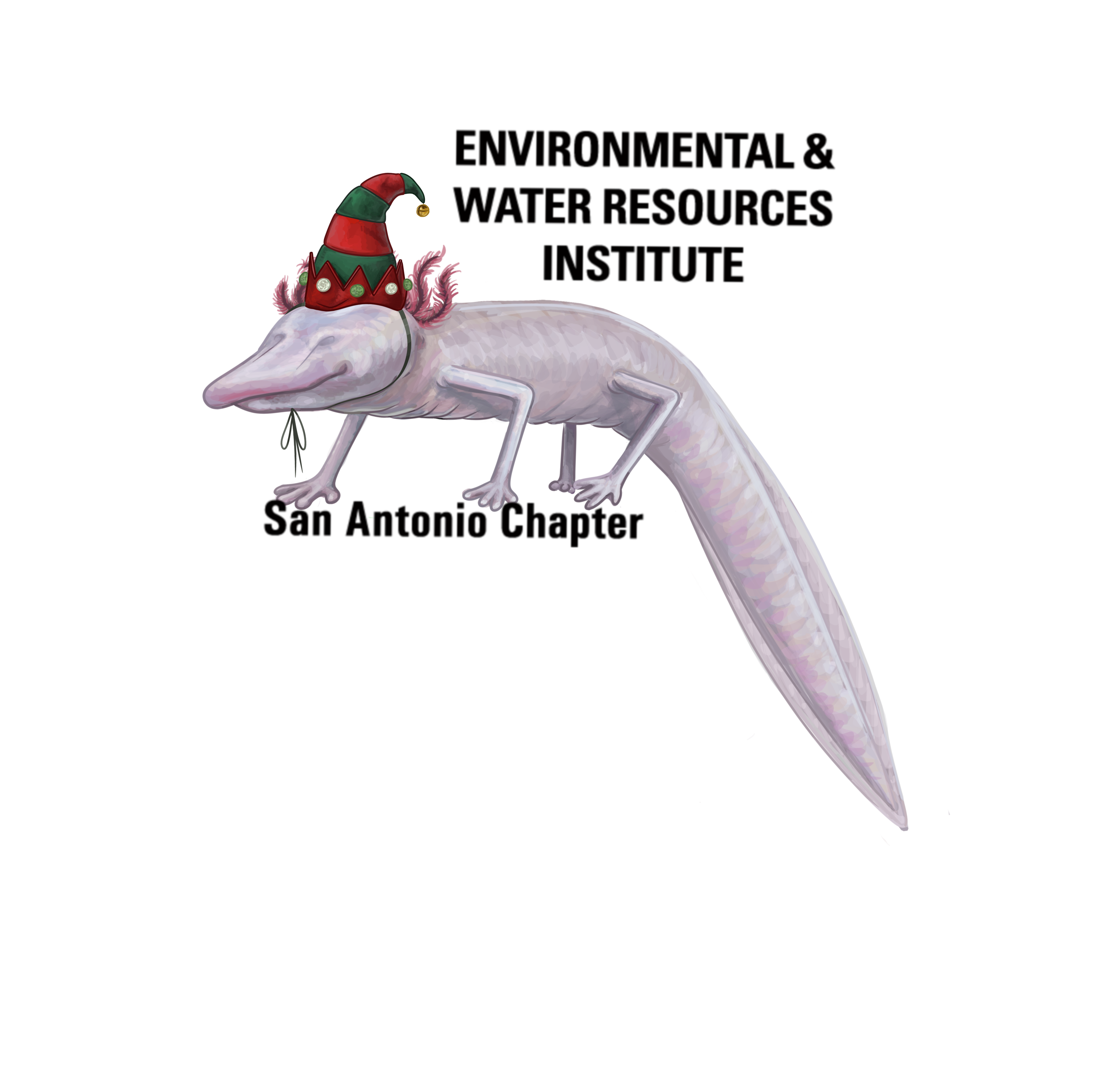 san-antonio-salamander