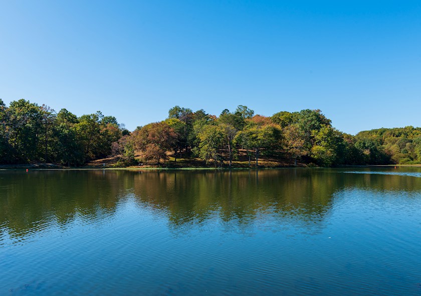 The trees are turning colors in Lake Fairfax park with the treeline reflected in the calm water