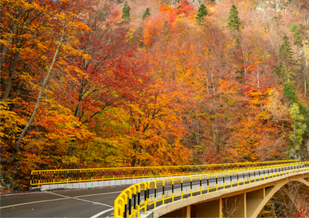 Fall Continuing Education Programs