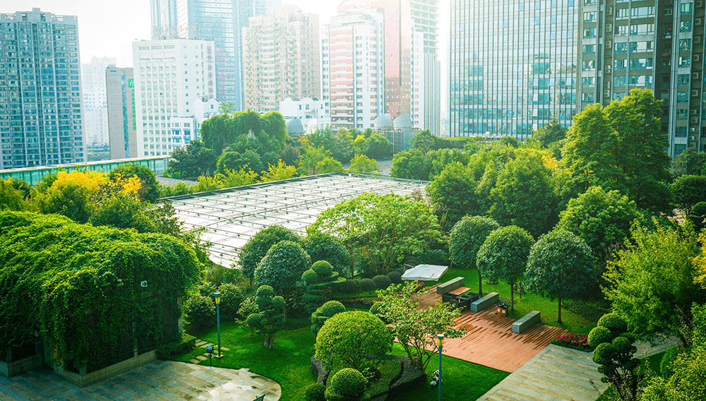 Greenscape with high-rise buildings in background