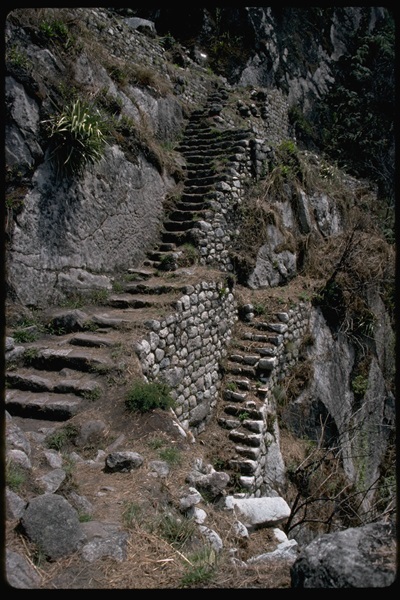 Stairs on Inka Road