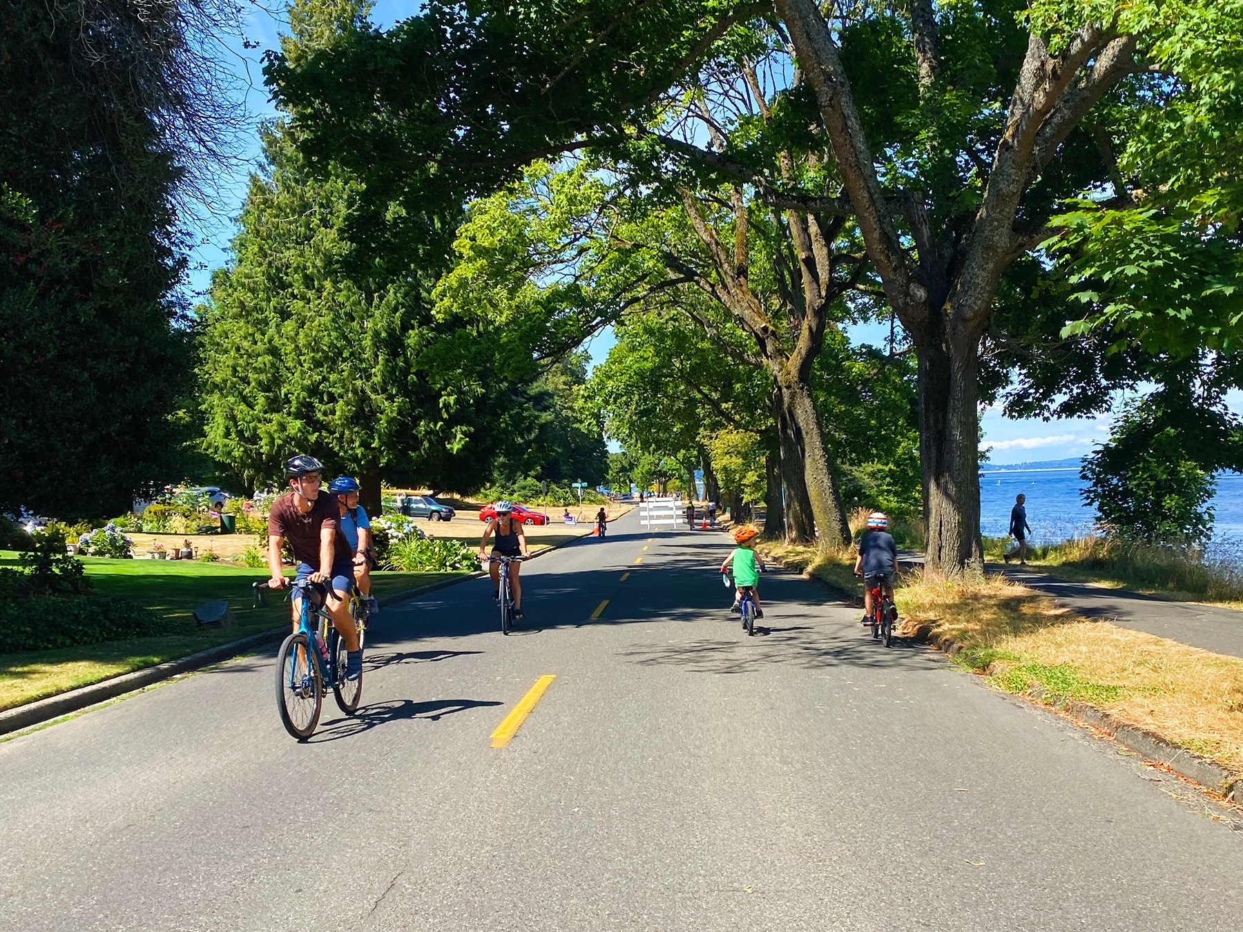 bicyclists ride on a two-way street