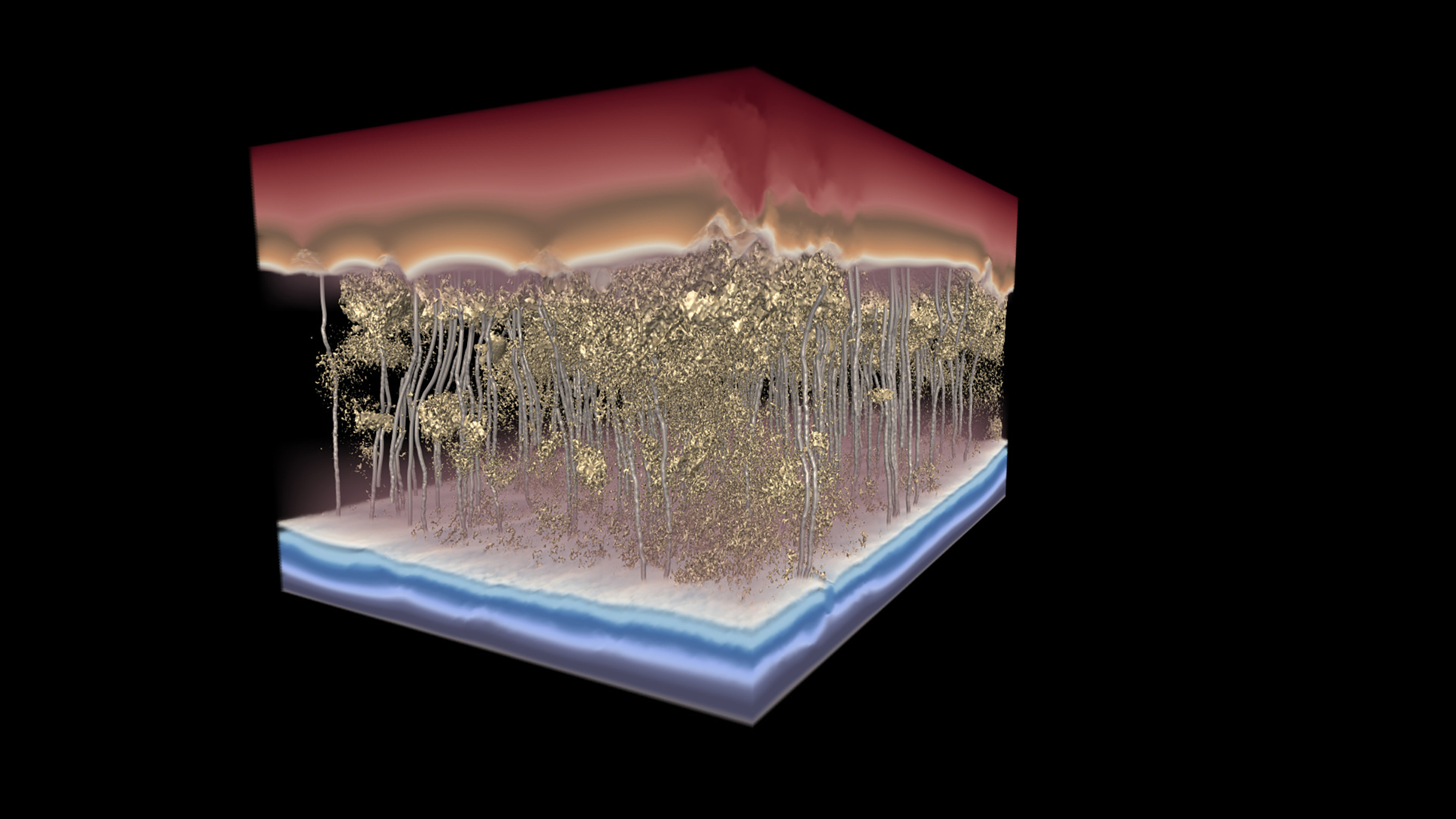 3D model of polymer membrane