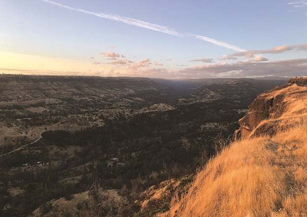 hillside burned from wildfires