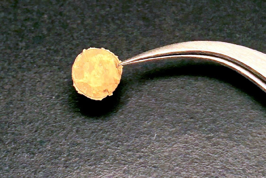 a small pair of metal holders grasp a gold-colored metal disk