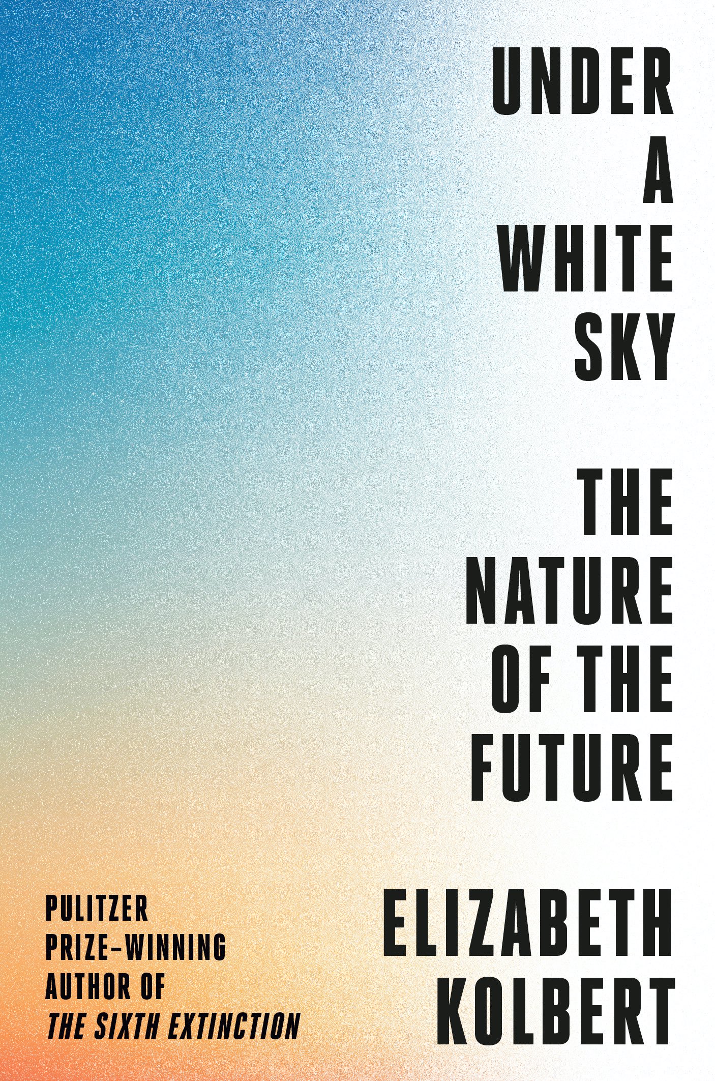 image of book cover for Under a White Sky