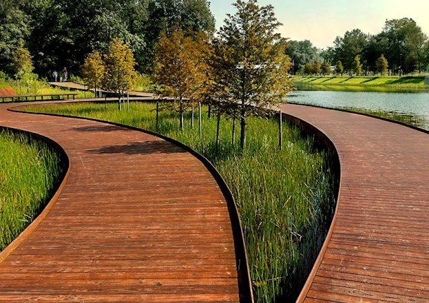 bifurcating wooden walkway in a park setting