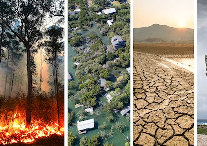 photograph showing fire in a forest, homes submerged by floods, cracked earth due to drought, and palm trees blowing in the wind