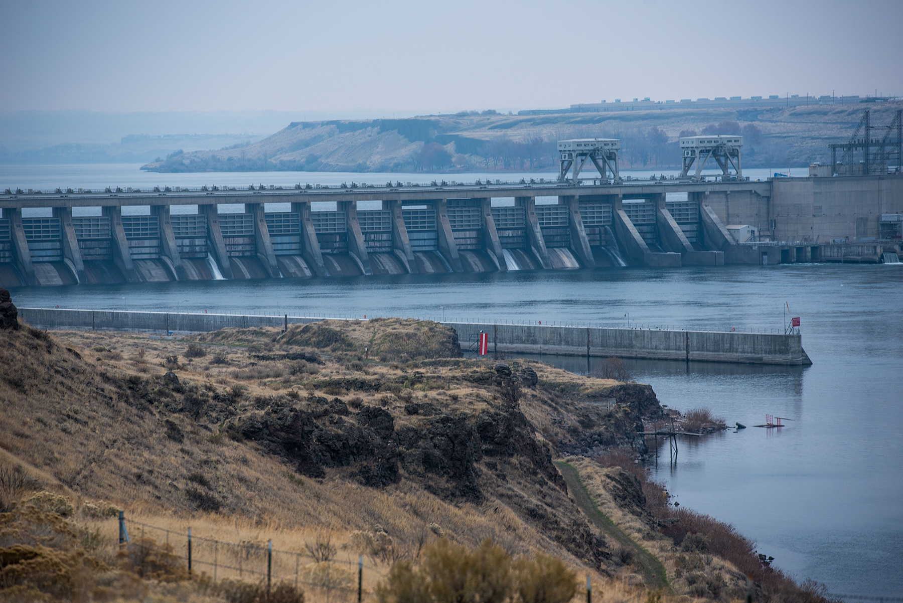 DAM