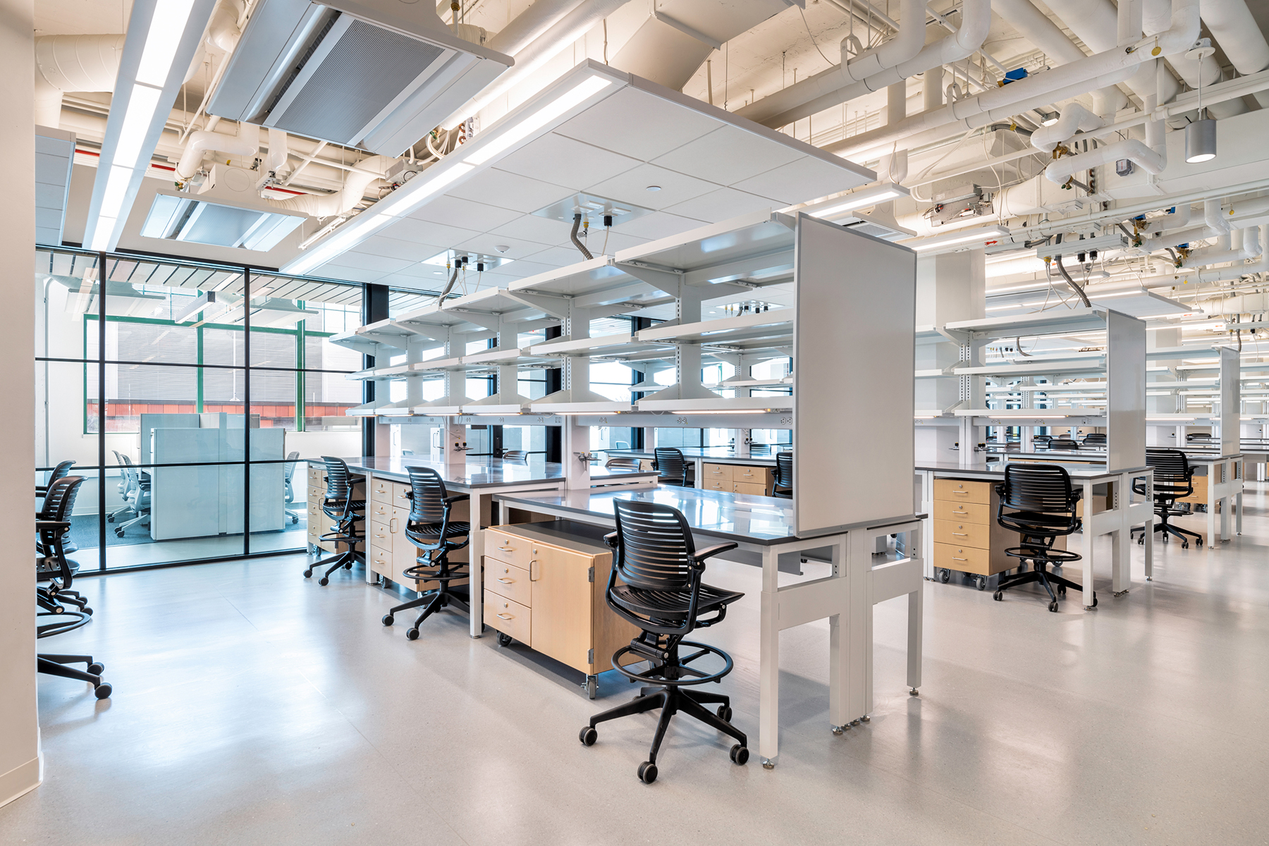 Lab space after renovation work. (Courtesy Triggs Photography)