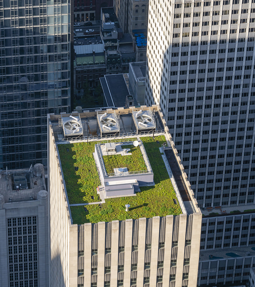 tall concrete building with grass on the roof which works to keep the building cool