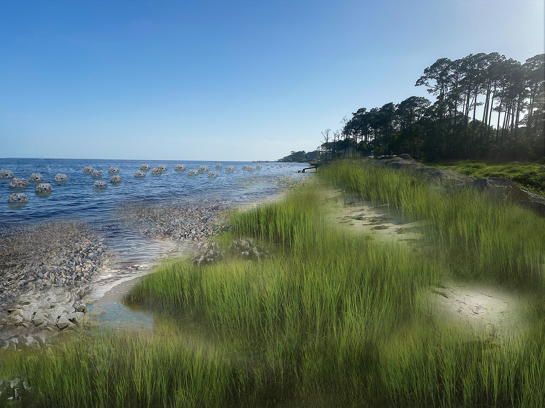 Rendering of a restored coastline that has ecological enhancements like native sea grasses 