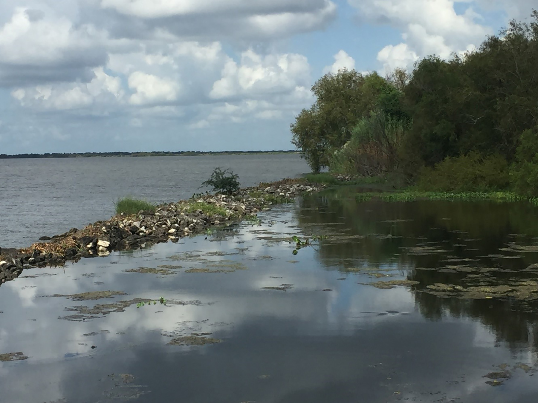 Long line of rocks and sedimen in water that slow water down before it hits the shore