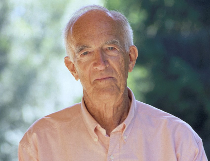man with gray hair wearing a pink shirt