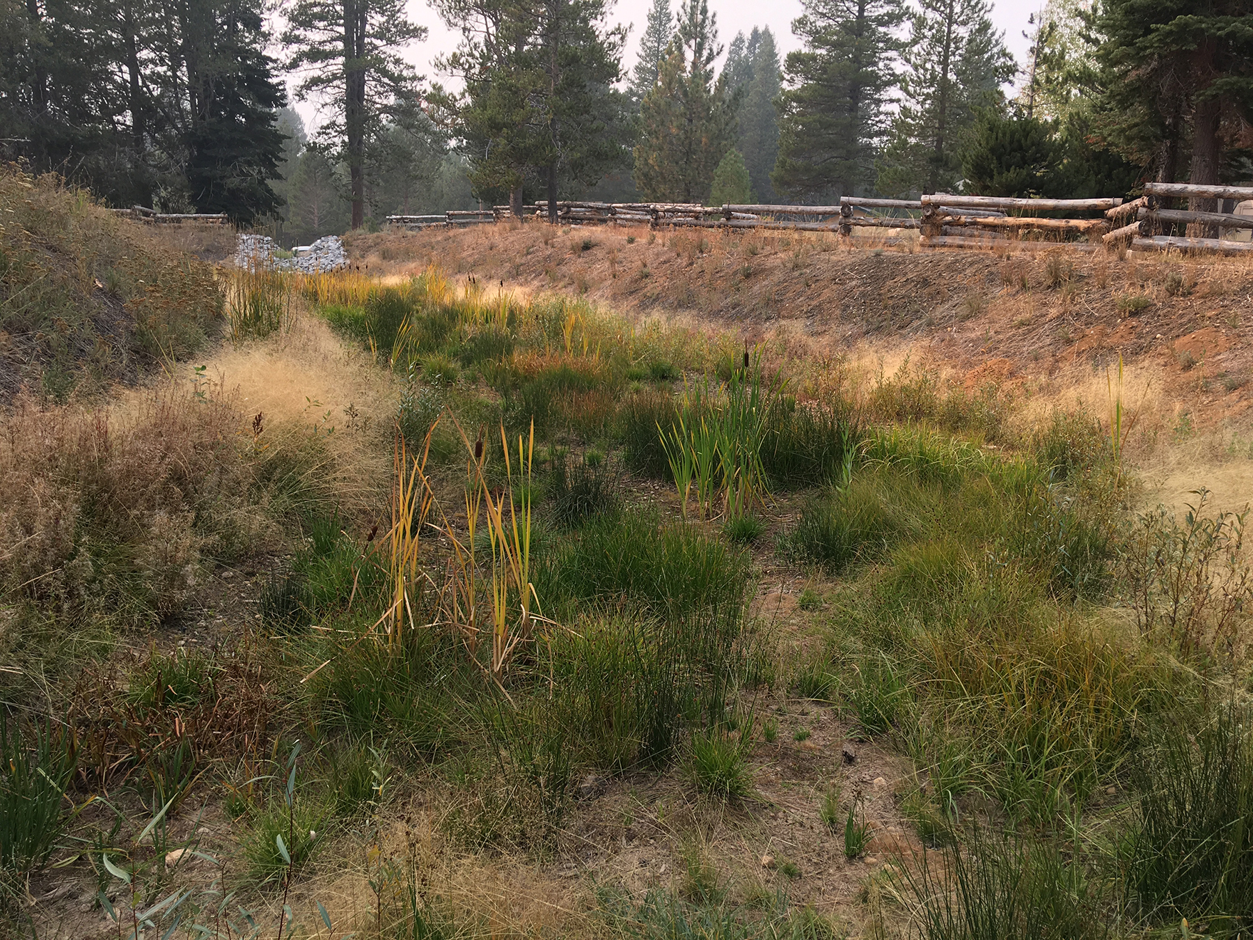 This wetland is used to capture and treat stormwater runoff that otherwise would flow to Lake Tahoe. (Photograph courtesy of El Dorado County, California) 