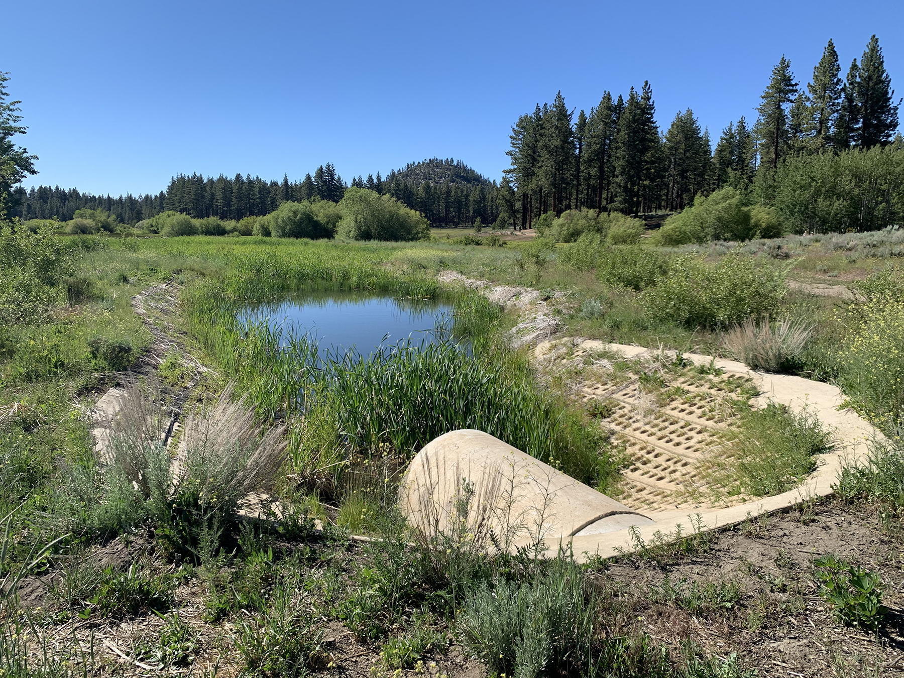 Wet detention basins also are used to capture pollutants in runoff before they enter Lake Tahoe. (Photograph courtesy of Nevada Division of Environmental Protection)
