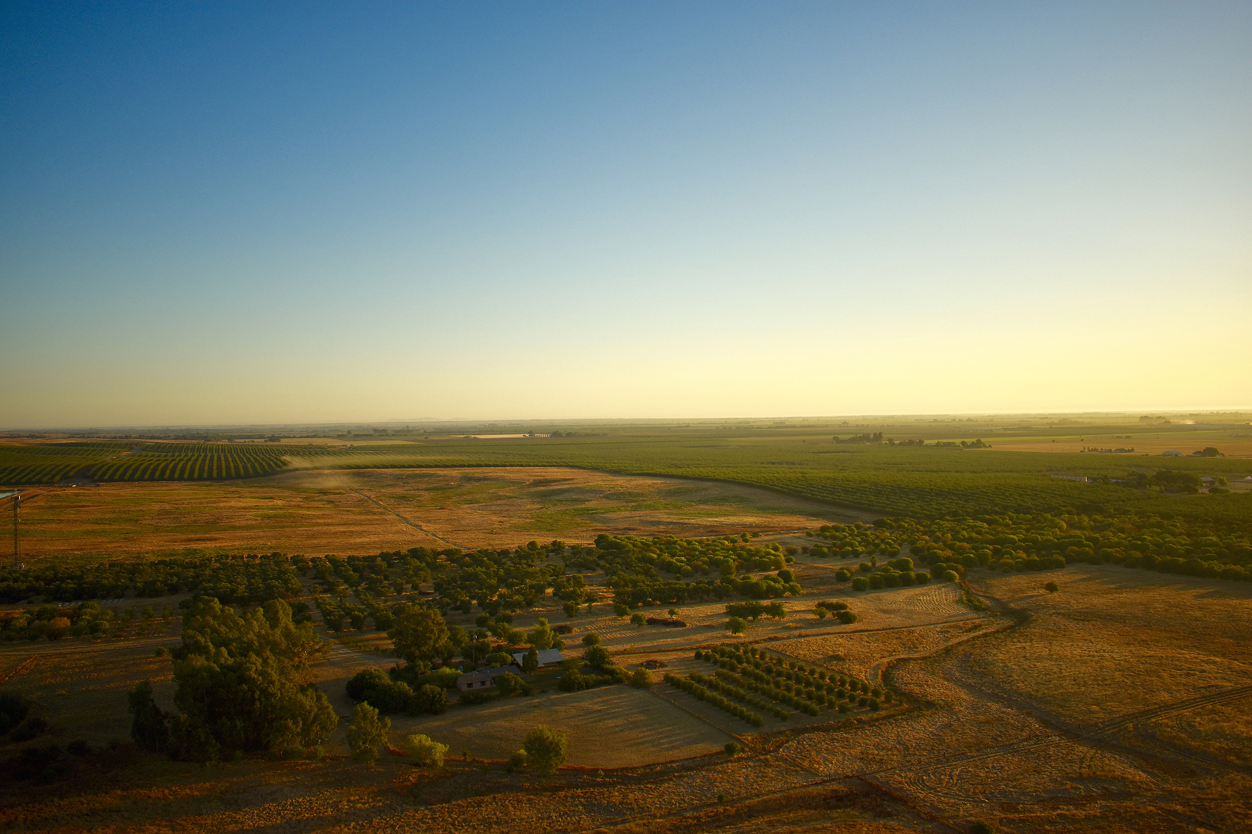 California farmland