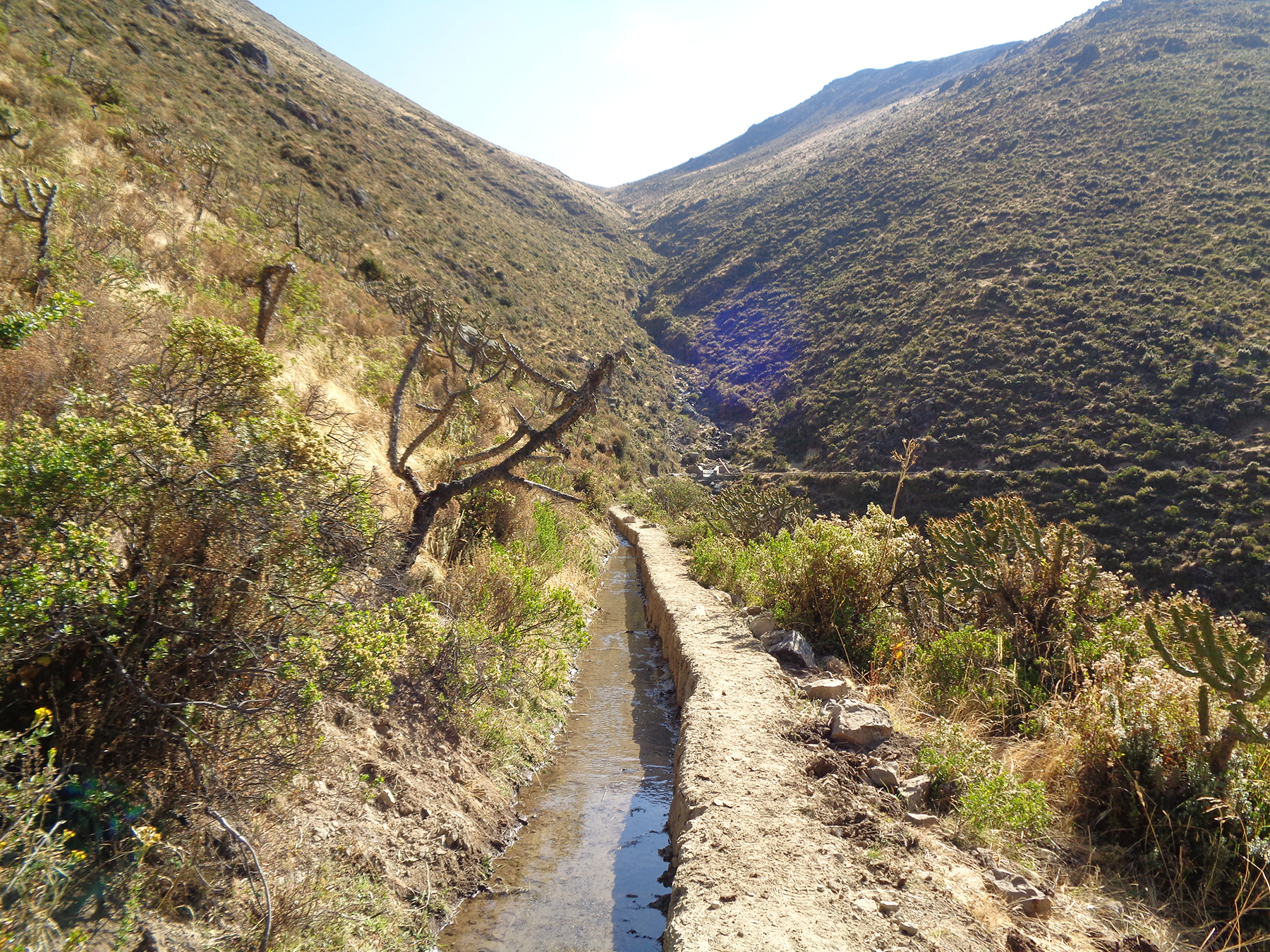 This 8.4 km long infiltration channel in the Andes Mountains is one of the nearly two dozen amunas that have been rehabilitated by Aquafondo. (Image Courtesy of Aquafondo)