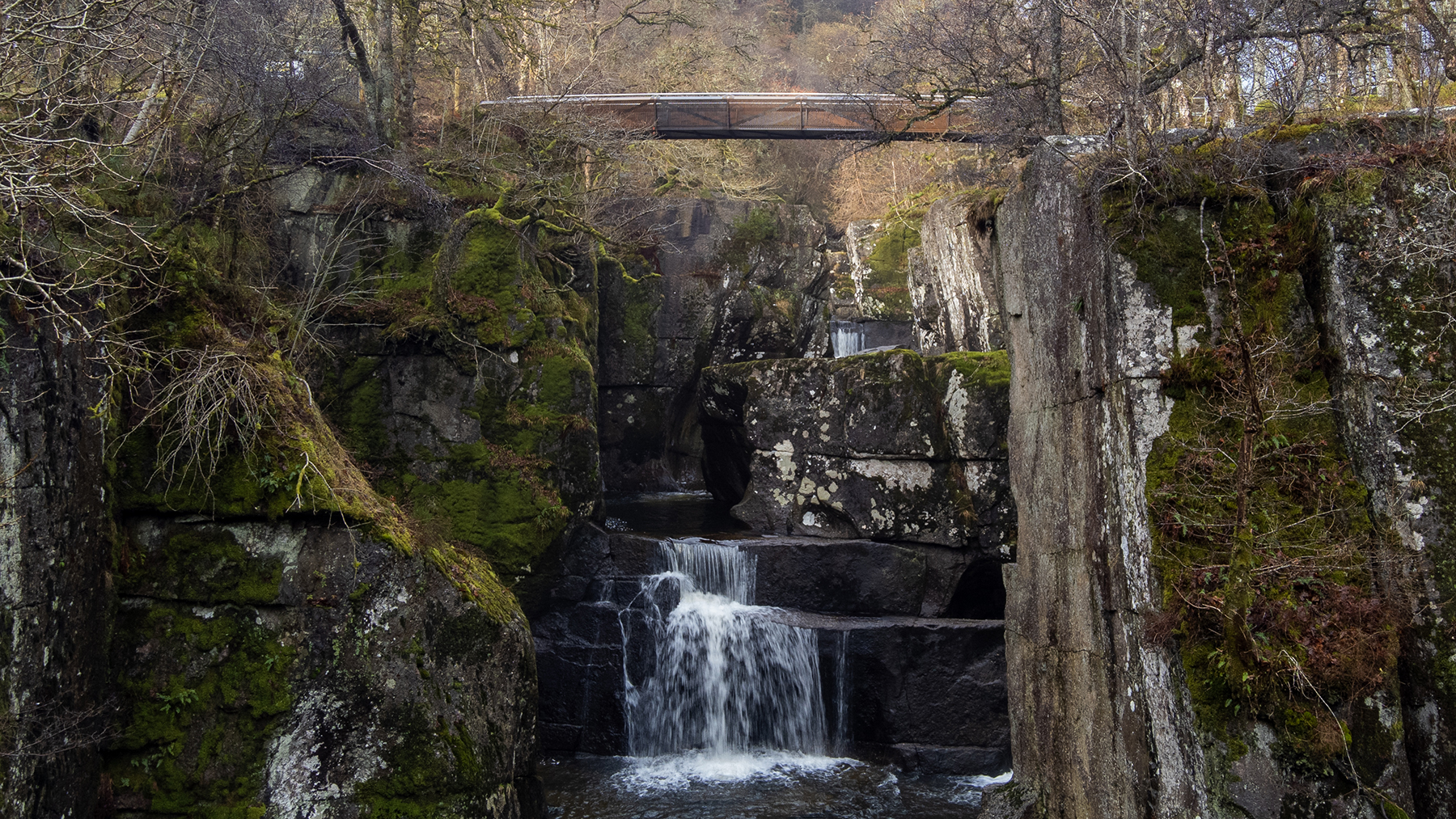 Image © Cake Industries/Timelapse Scotland