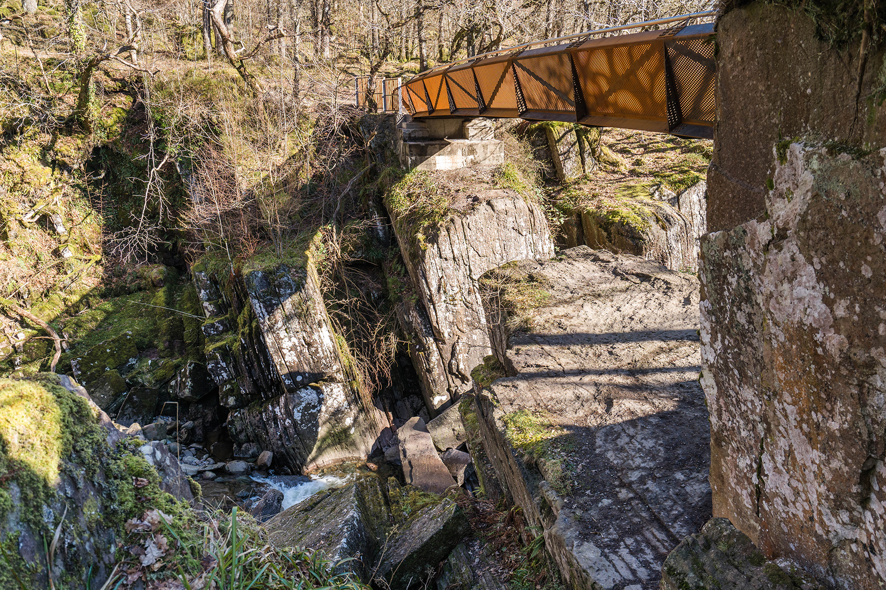 Image © Paul Sanders/See Loch Lomond