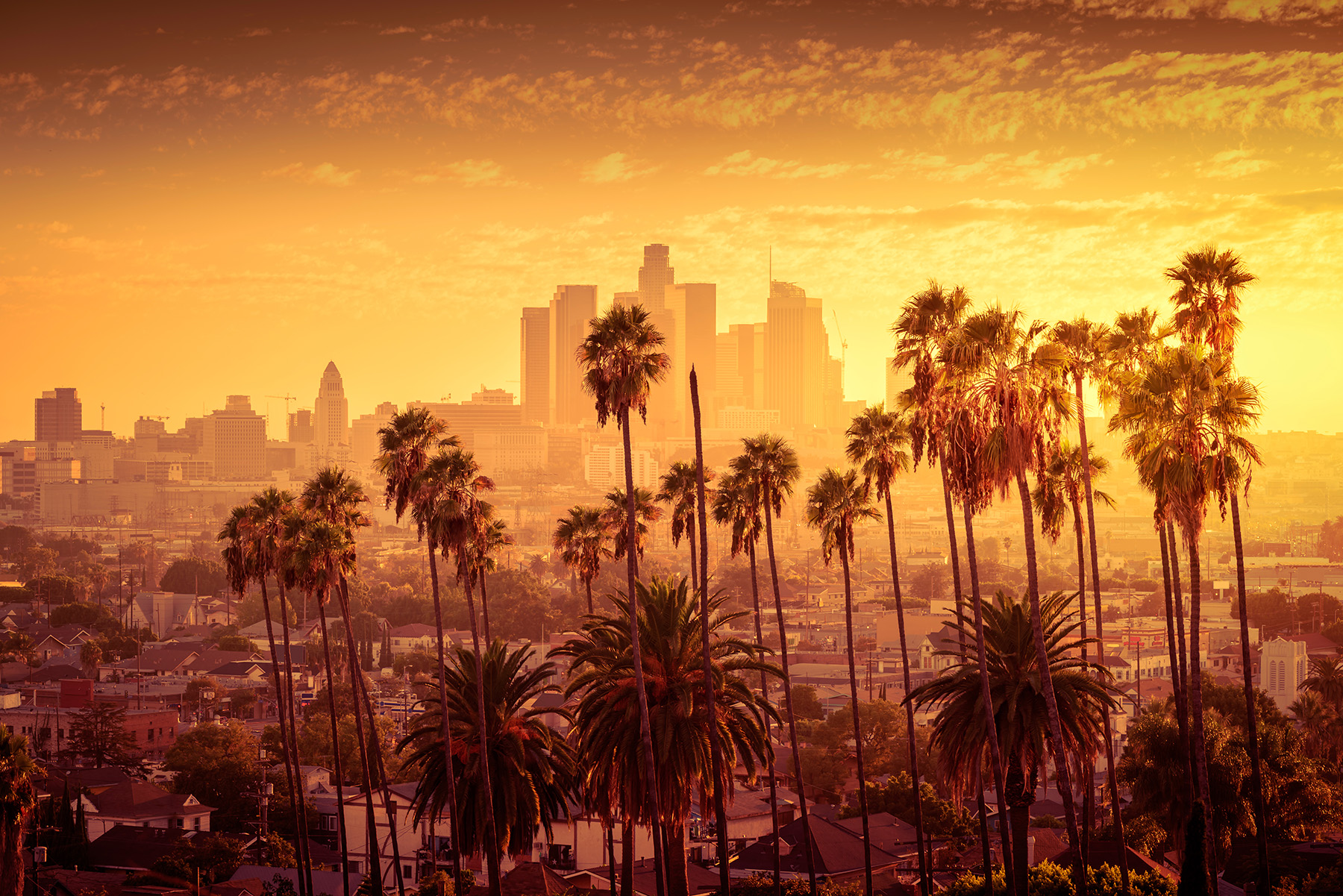 The Los Angeles skyline set on a hazy background.