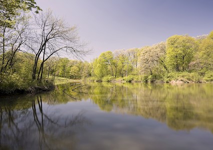 Photo shows a body of water surrounded by trees.
