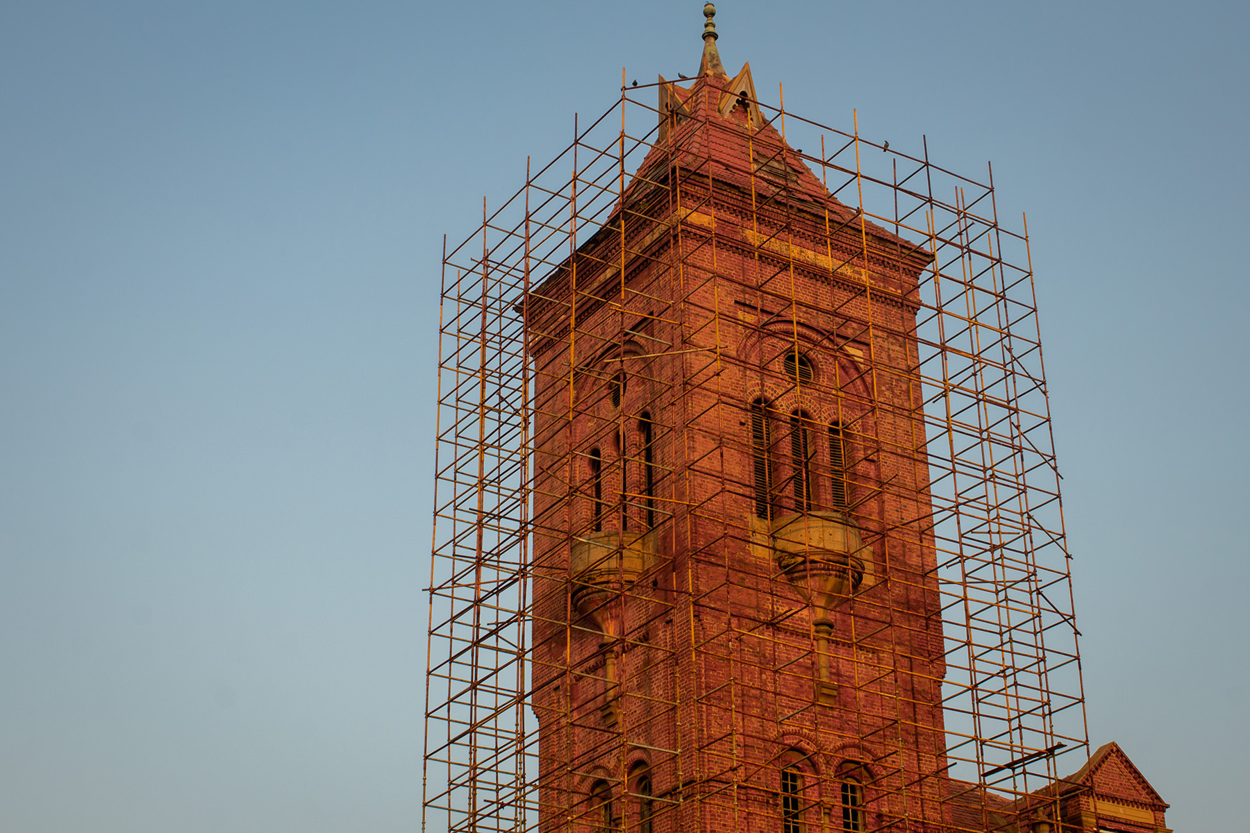 Tall red brick tower is surrounded by scaffolding. 