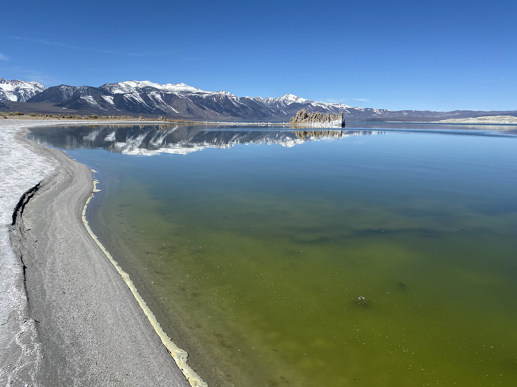 The south shore of Mono Lake in April 2021. (Photograph courtesy of the Mono Lake Committee)