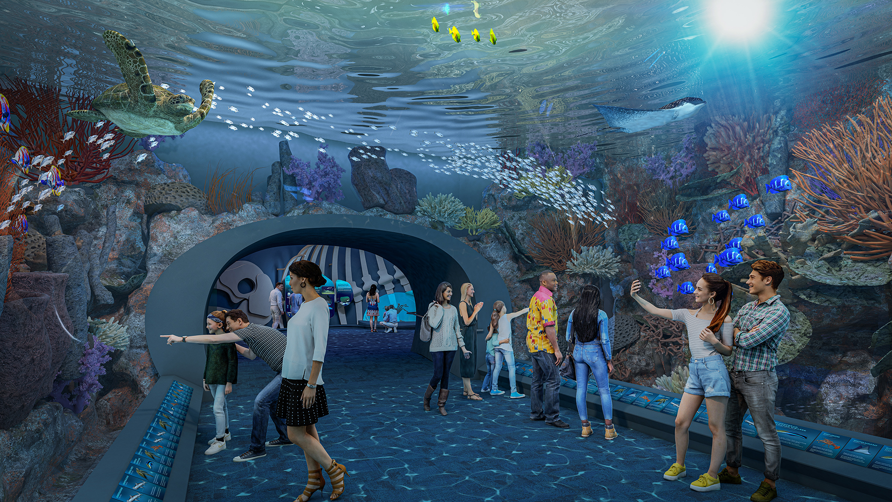 Caribbean tunnel (Rendering © Shedd Aquarium)