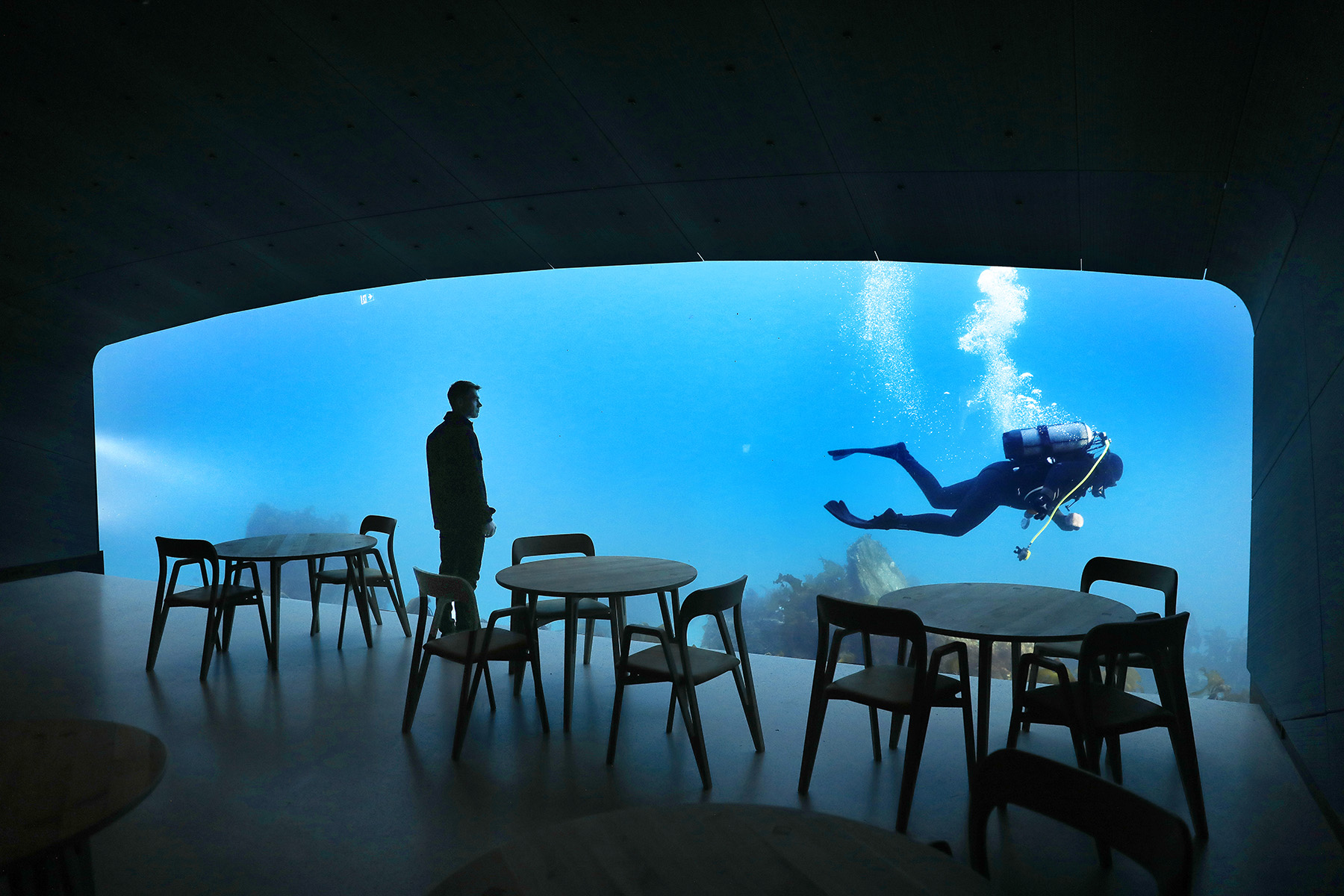 A man stares through a large acrylic window of an underwater restaurant. There is a diver in scuba gear in the water. 