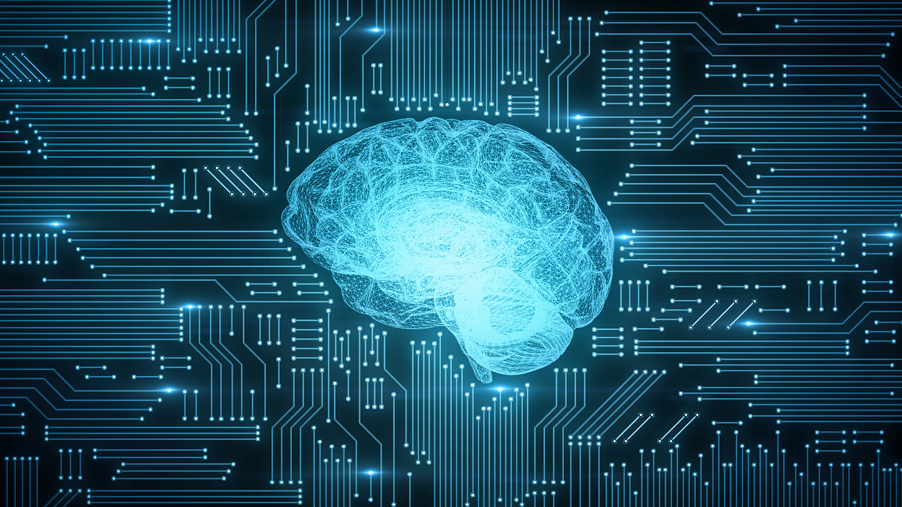 Image shows a digitized human brain.