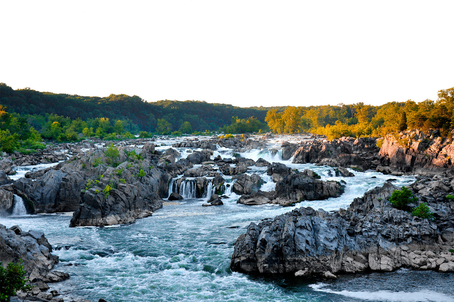 A photograph of Great Falls with its rushing water and rocky formations. Trees can be seen in the background. 