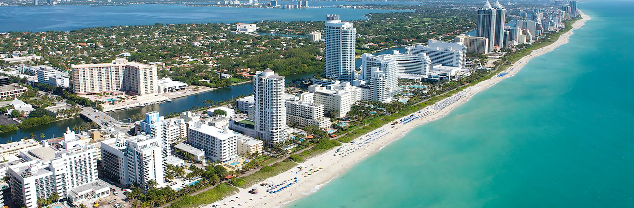 beachfront with cityscape along shore Photo by Antonio Cuellar on Unsplash