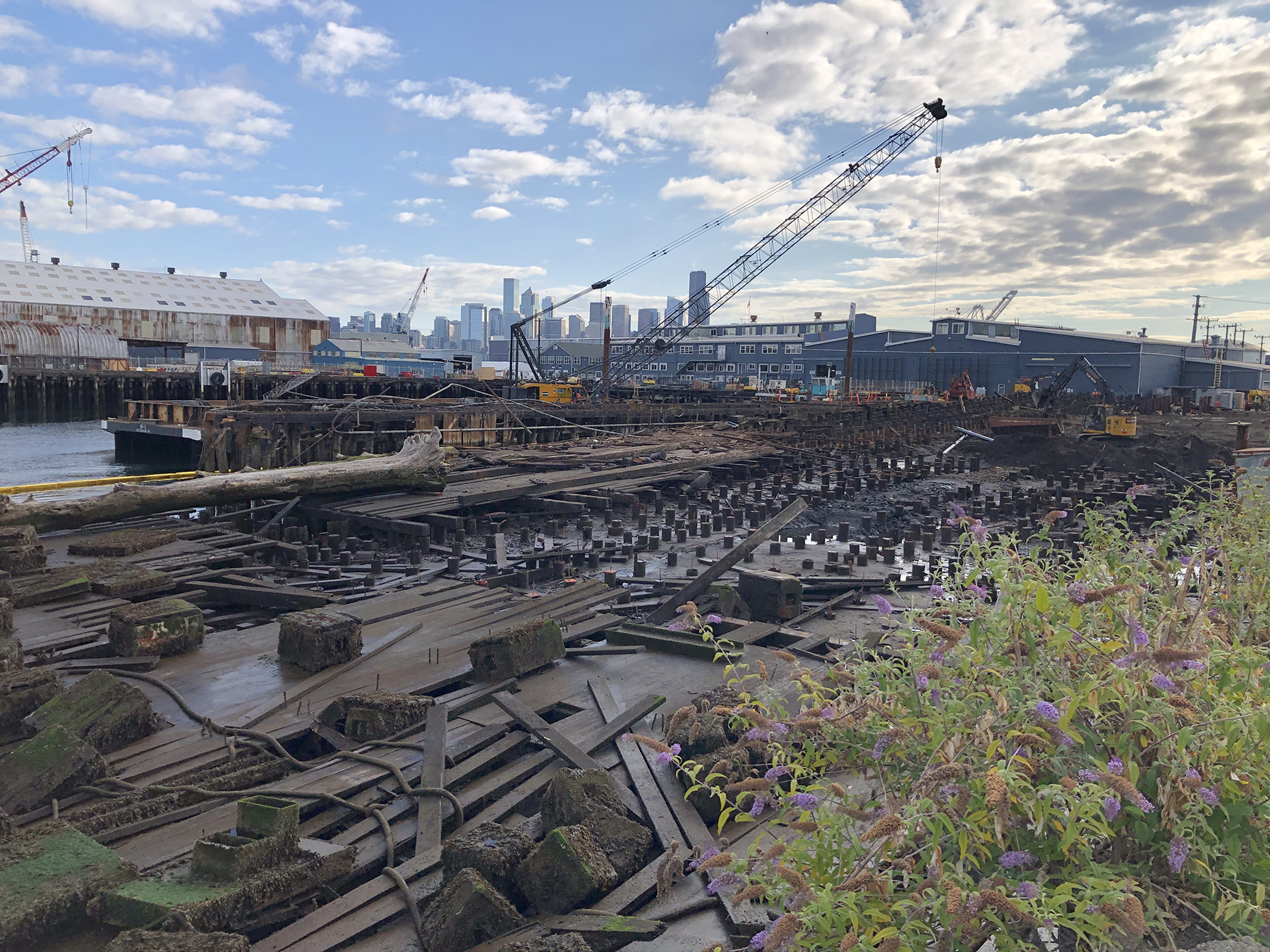 Discarded lumber and other artifacts are shown in this image of a shipyard.