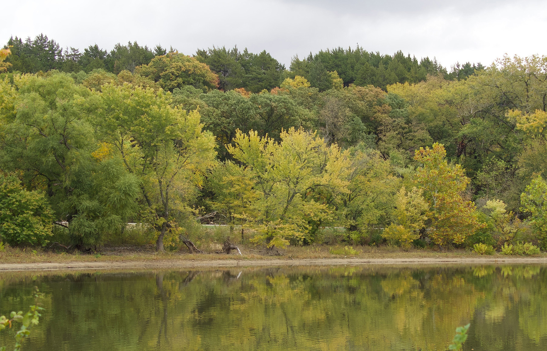 Photograph shows a lake and part of its shoreline. There are trees near the shore in the background and plants in the foreground. 