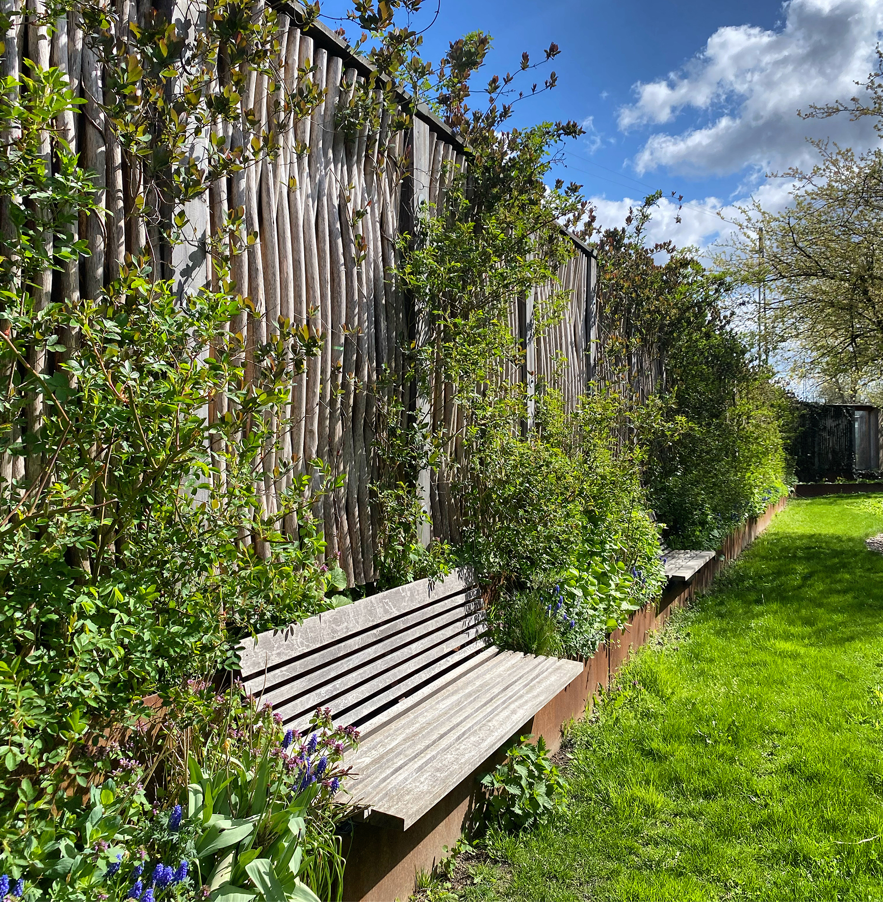 barrier is shown covered in vegetation with a bench in front of it