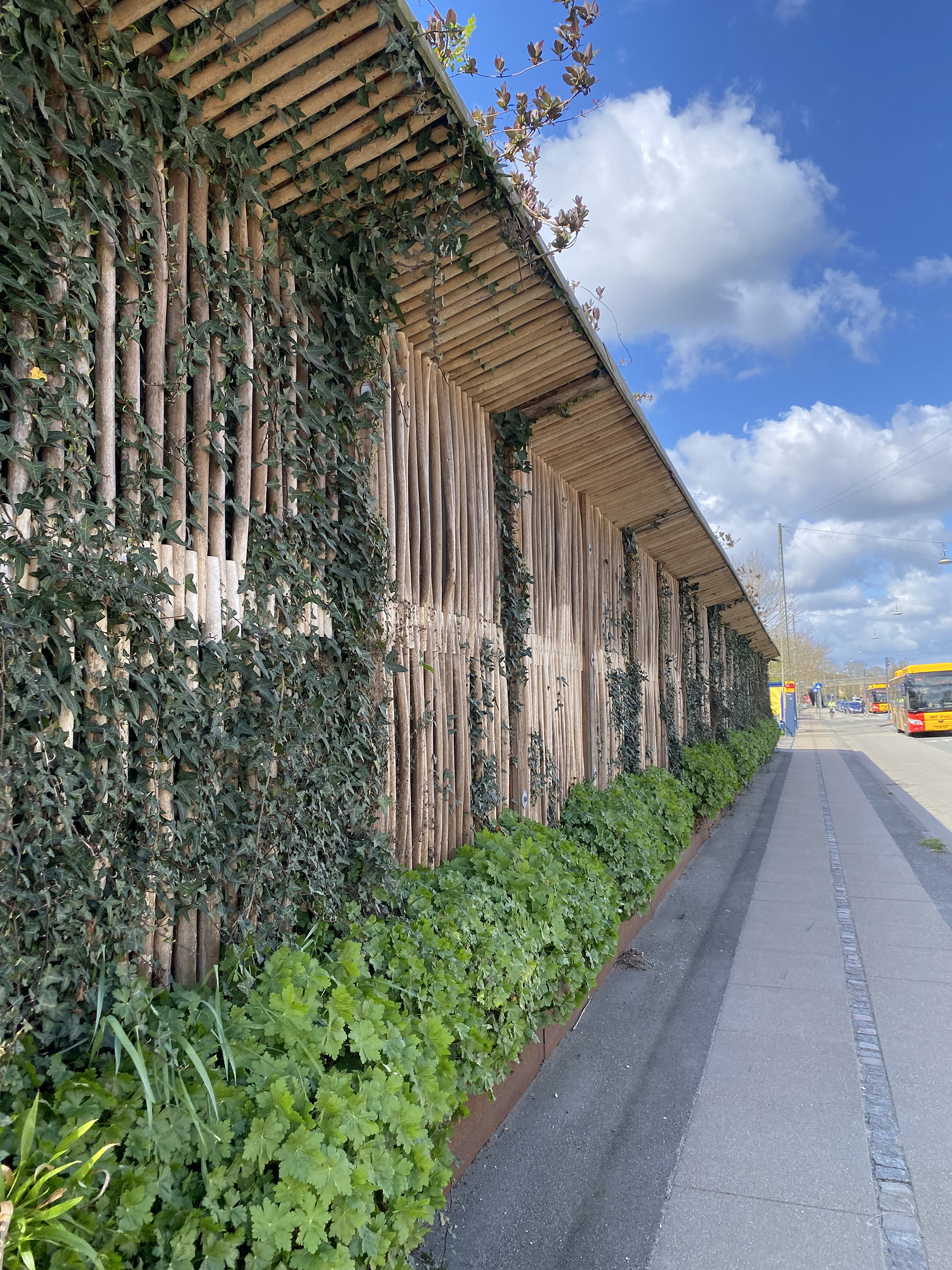 a barrier with vegetation along a sgtreet