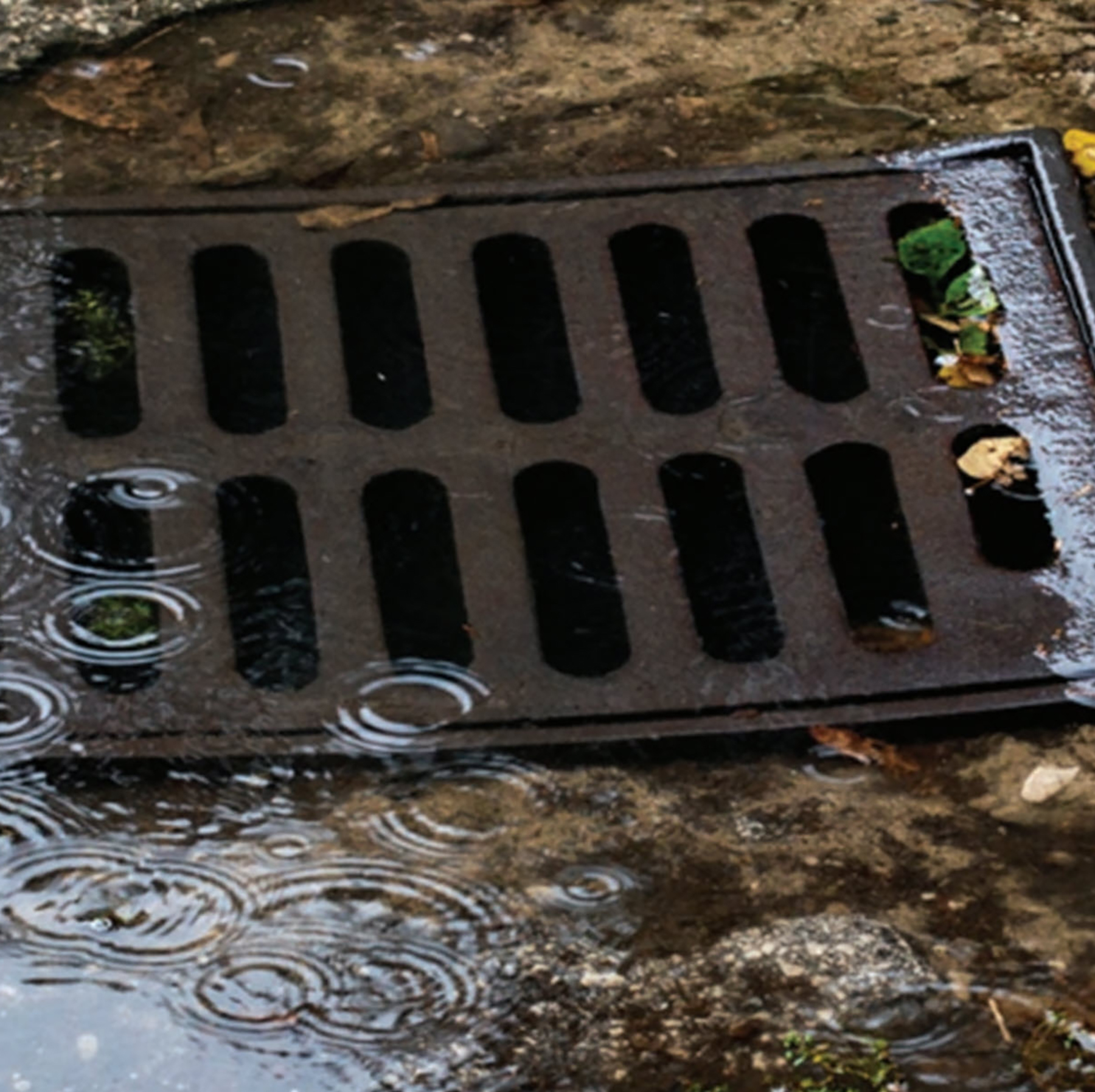 an overflowing storm drain