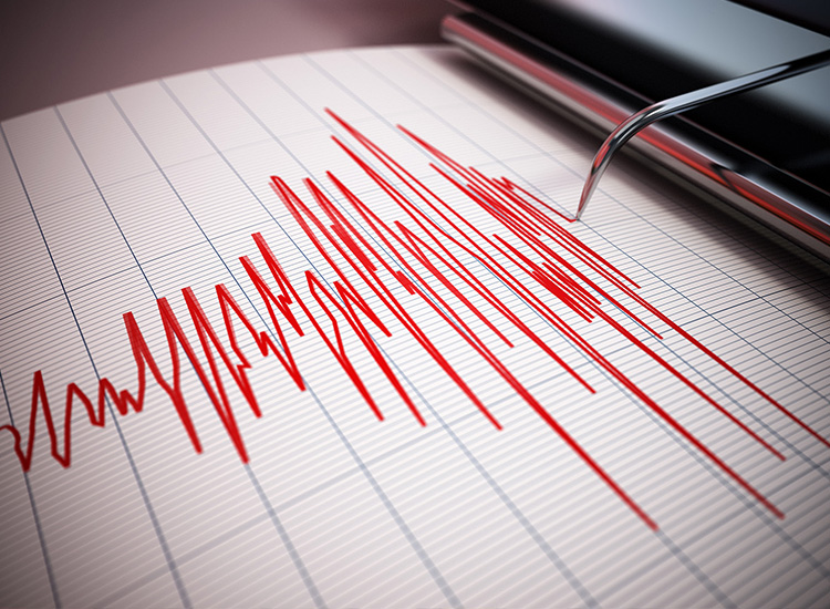 Photograph shows the lines on a seismograph. 