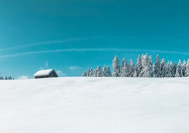 A small, snow-covered building sits amidst snow-covered trees.
