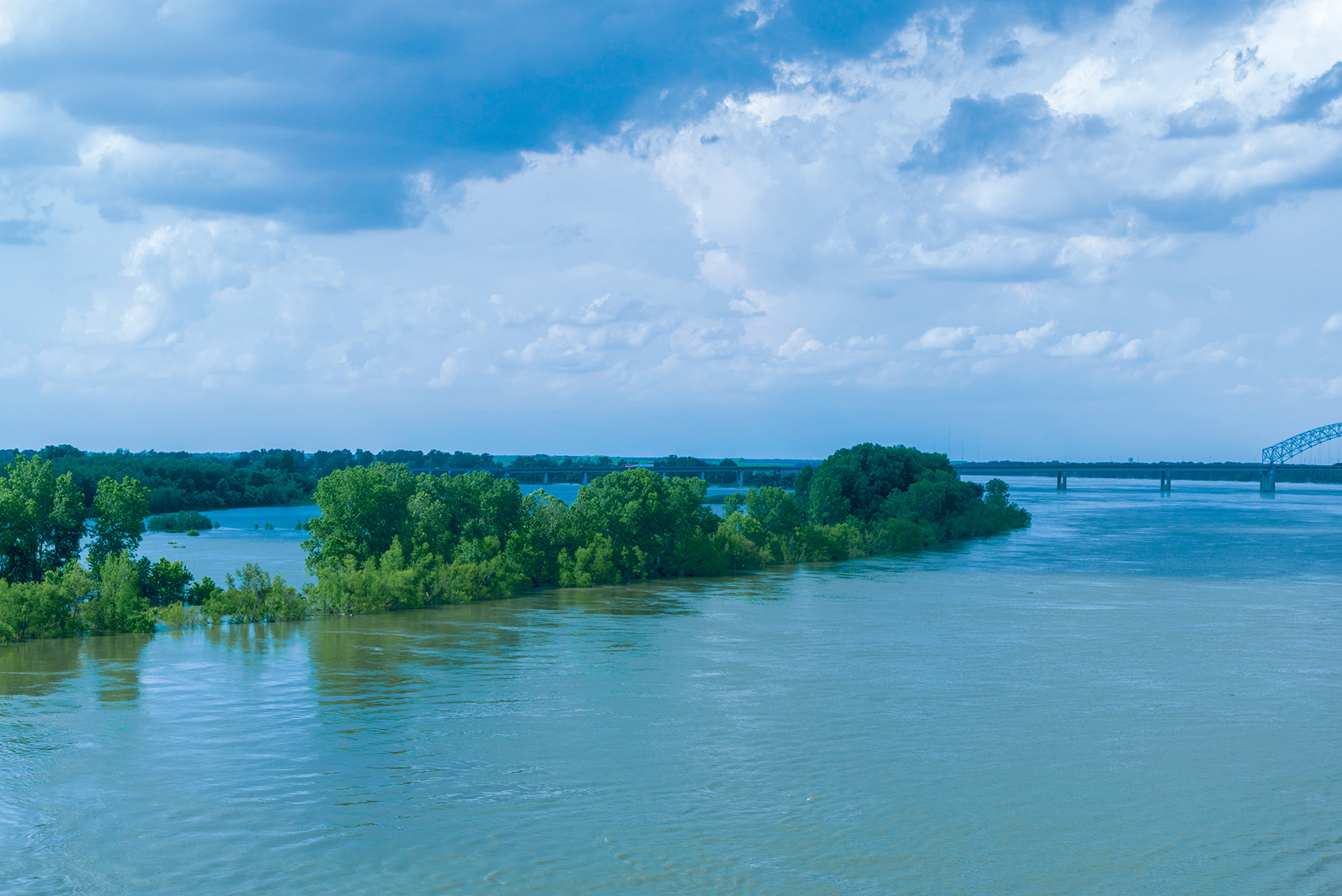 A photo shows high water around trees and a bridge in the distance following a flood in Tennessee.
